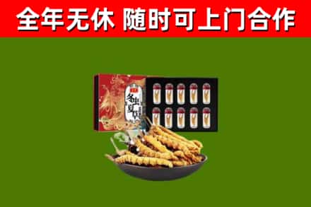 锡林郭勒回收冬虫夏草价格